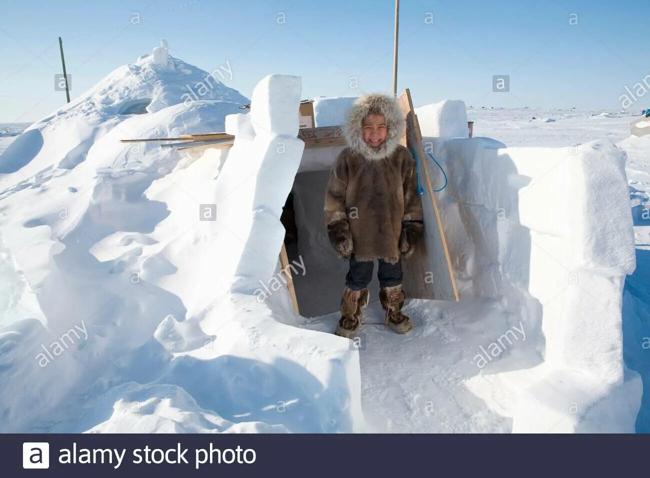 Житель иглу. Аляска Эскимосы иглу. Эскимосы живут в иглу. Полярный Эскимос. Люди которые живут на Северном полюсе.