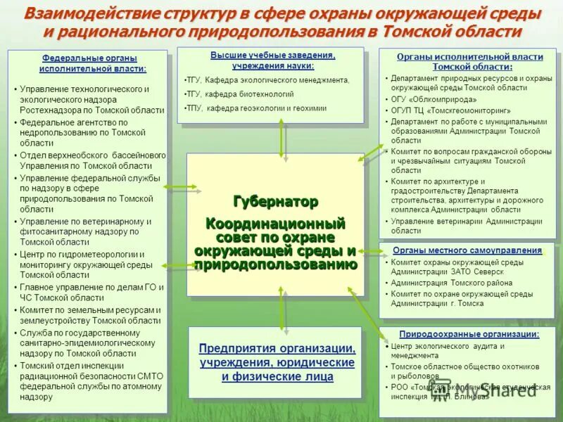 Роль охраны окружающей среды. Органы охраны окружающей среды. Органы охраны окружающей среды в РФ. Государственный экологический надзор схема. Органы управления в области охраны окружающей среды.