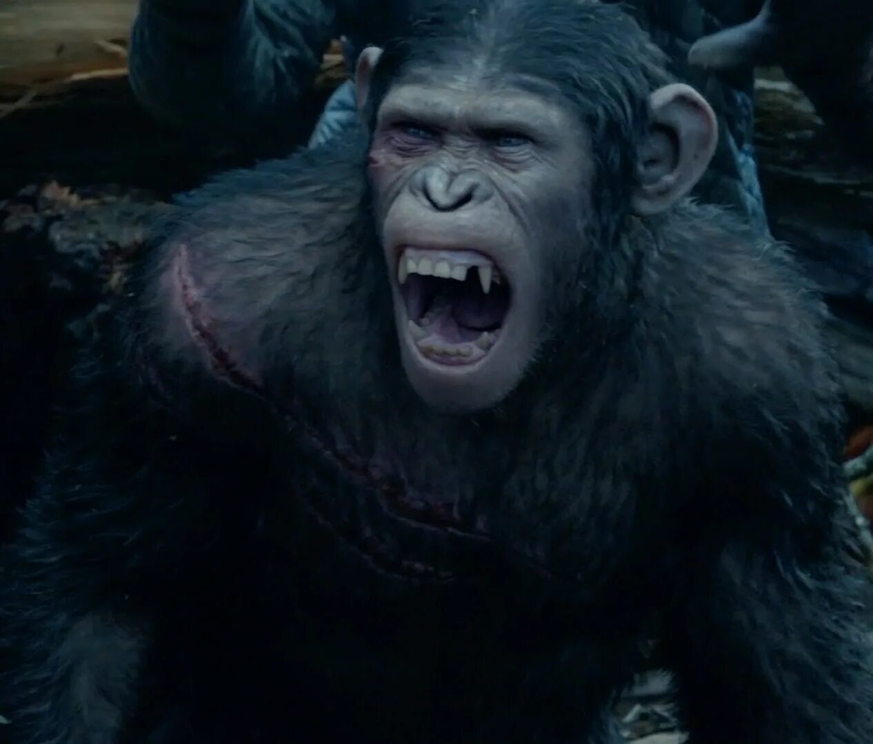 Планета обезьян 1973. Планета обезьян 1973. Планета обезьян 1986. Планета обезьян 1986. Битва обезьян.