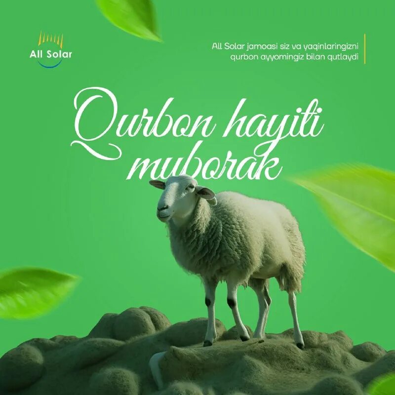 телеграм солар