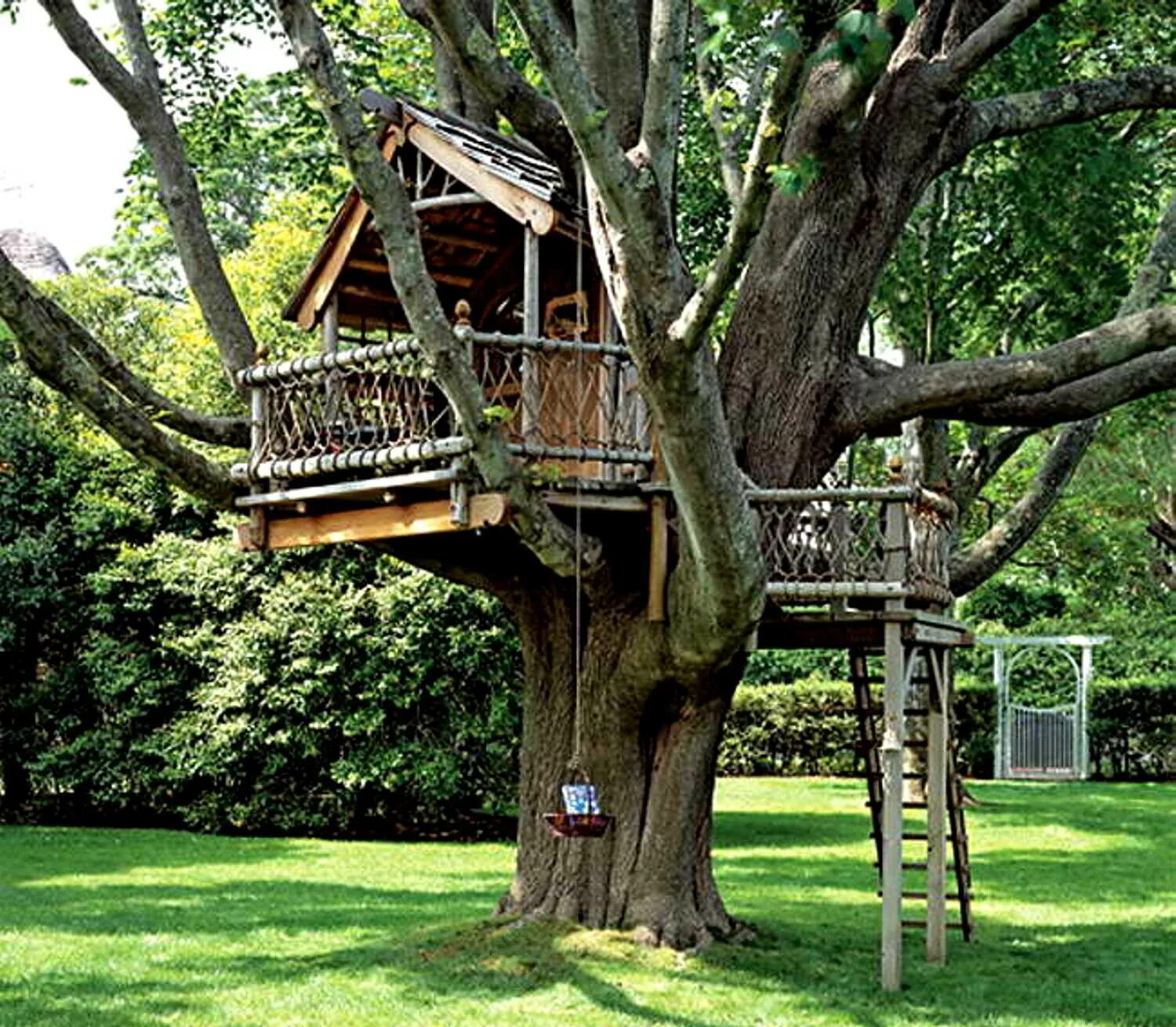 Жилой дом на дереве. Алникский дом на дереве. Домик в деревне. Детский домик на дереве. Красивый домик на дереве.