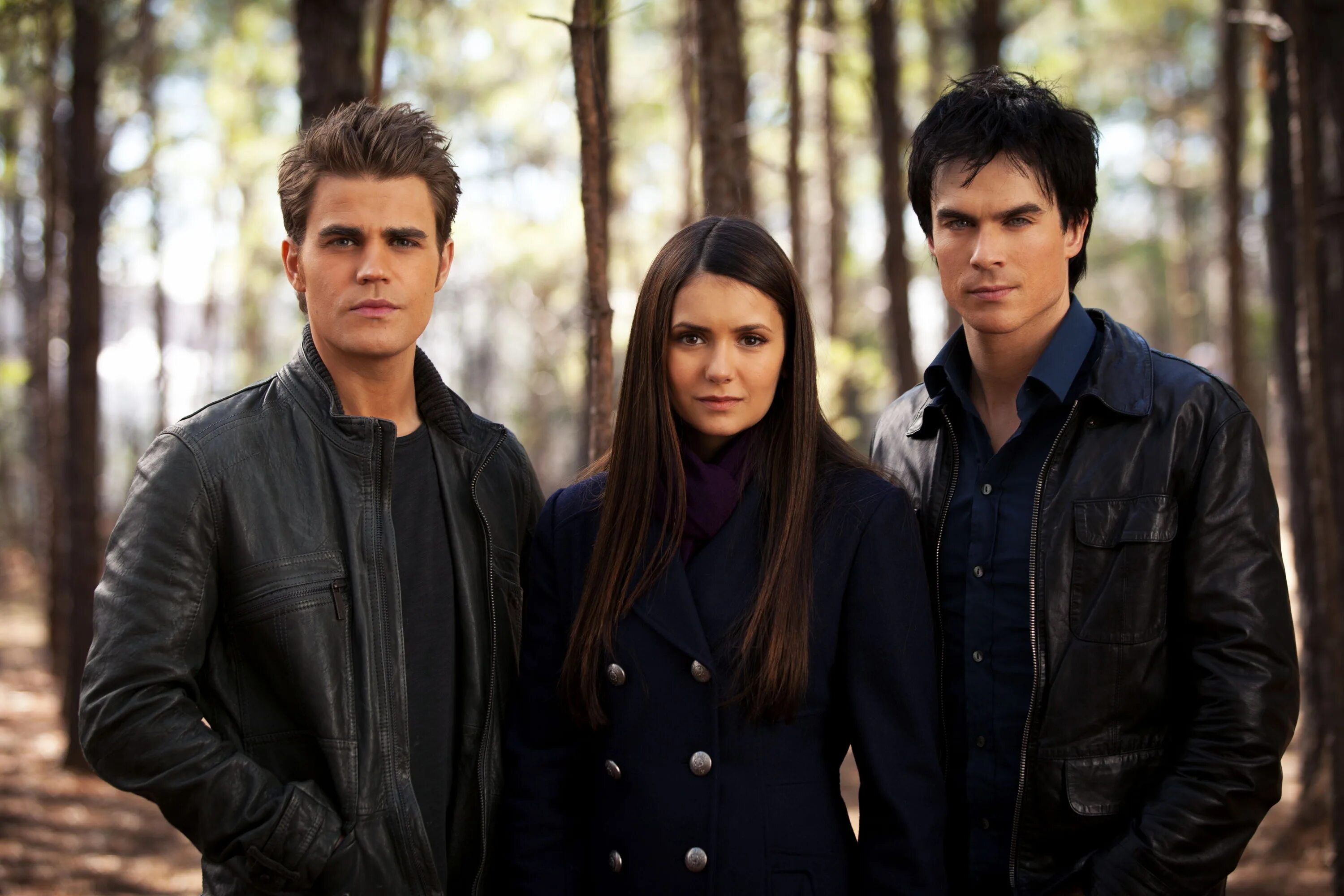 The vampire diaries in english