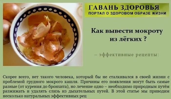 Отхождение мокроты в домашних. Вывод мокроты из бронхов и легких препараты. Вывод мокроты из бронхов. Вывод мокроты из бронхов и легких.