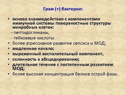Бактерии в основе