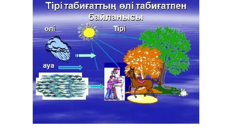 Порно FFM іш киім орысша аудармасы
