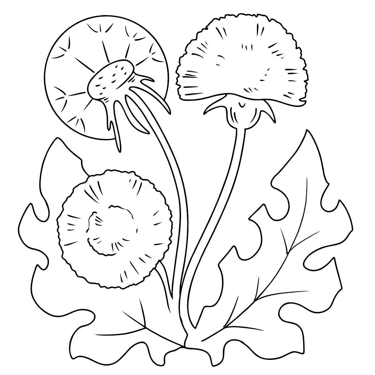 Одуванчик раскраска. Одуванчик раскраска для детей. Контур одуванчика для раскрашивания. Рисунок одуванчика для раскрашивания.