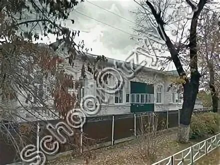 Майкоп школа 20 фото. Майкоп, директор 20 школы. 10 школа майкоп. Майкоп школа 20 фото. Майкоп, директор 20 школы.