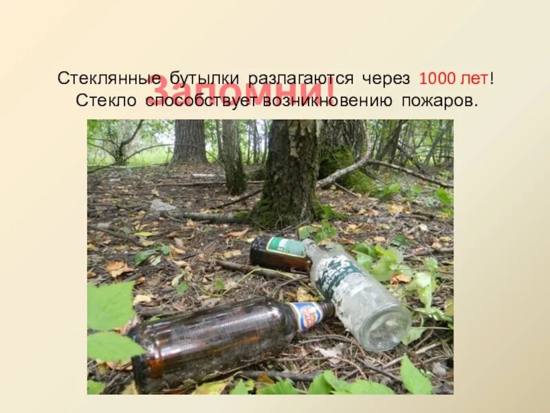Сколько разлагается бутылка. Стеклянные бутылки не разлагаются. разложение стеклянной бутылки. стеклянные бутылки разлагаются дольше пластиковых. пластиковая бутылка разлагается.
