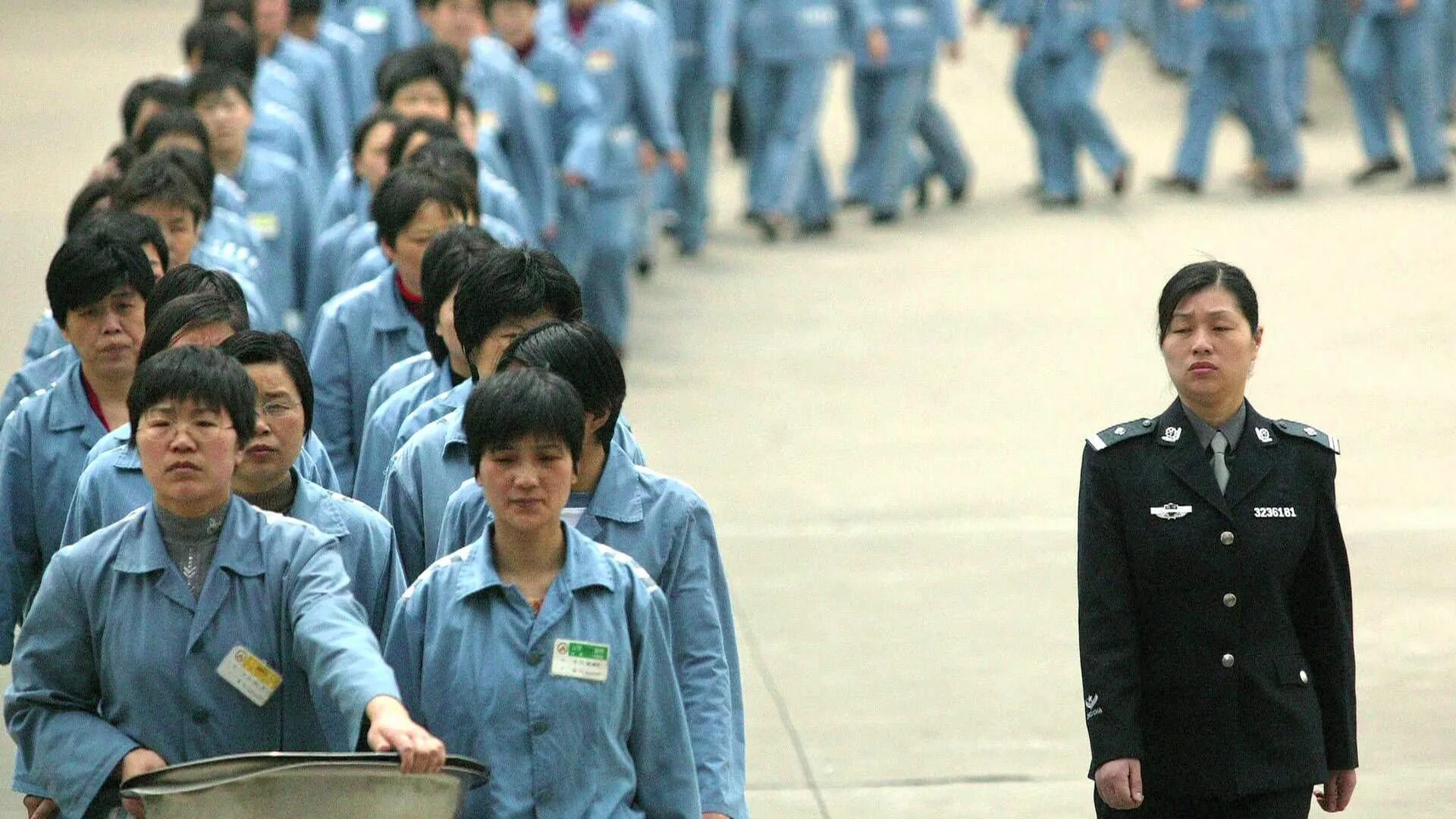 Ketek. Sotwe cina. Brondong smp coli. Sotwe cina. Императорский дворец в пекине запретный город.