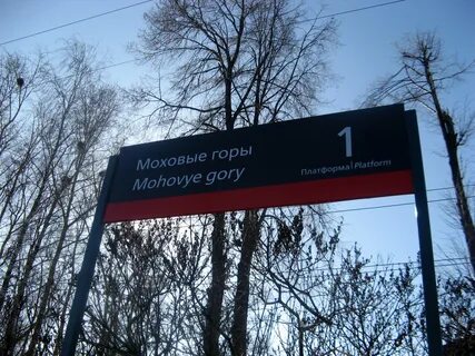 Маршрут моховые горы