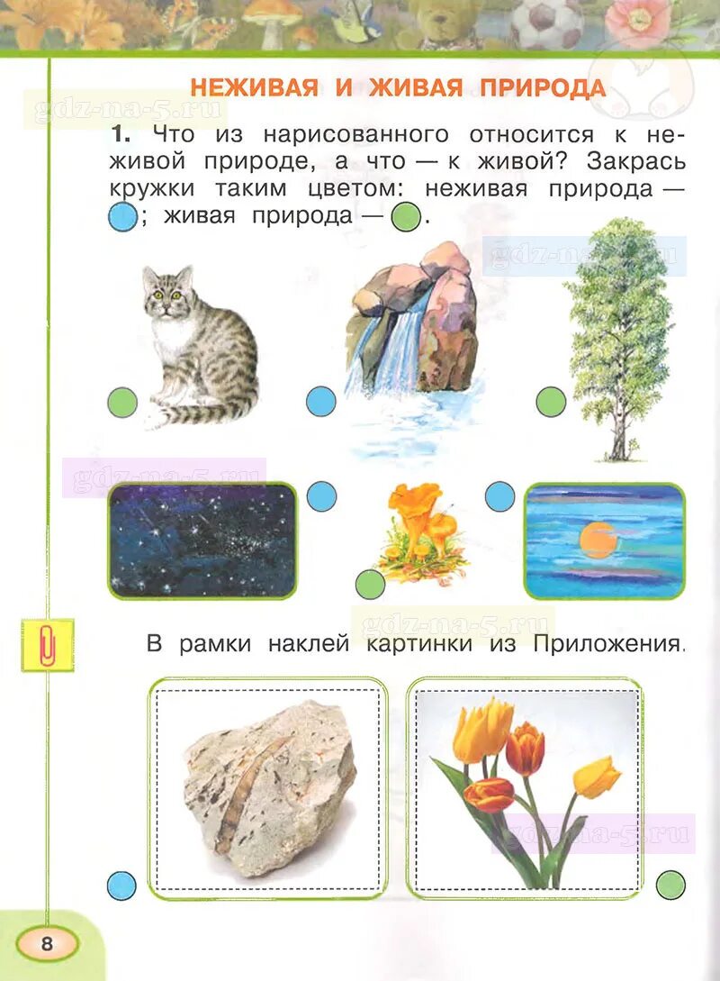 Окр мир рабочая тетрадь стр 8. Окружающий мир 1 класс рабочая тетрадь Плешаков ответы. Рабочая тетрадь по окружающему миру 1 класс 1 Плешаков ответы. Окружающий мир 1 класс рабочая тетрадь 1 часть Плешаков ответы стр 8. Окружающий мир 1 класс рабочая тетрадь 1 часть Плешаков стр 8.