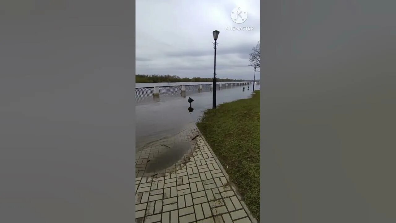 Уровень воды сож в славгороде сегодня реке. Гомель наводнение. Гомель СОЖ. Гомель потоп 2023. Паводок Гомель 2023.