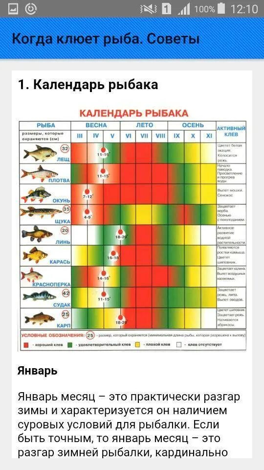 Какая рыба лучше ловится. Календарь рыбалки. Таблица клева щуки. Когда лучше клюет рыба. Календарь клева рыбы.