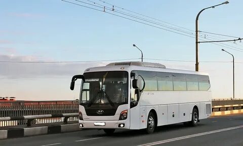 Аренда автобуса 40