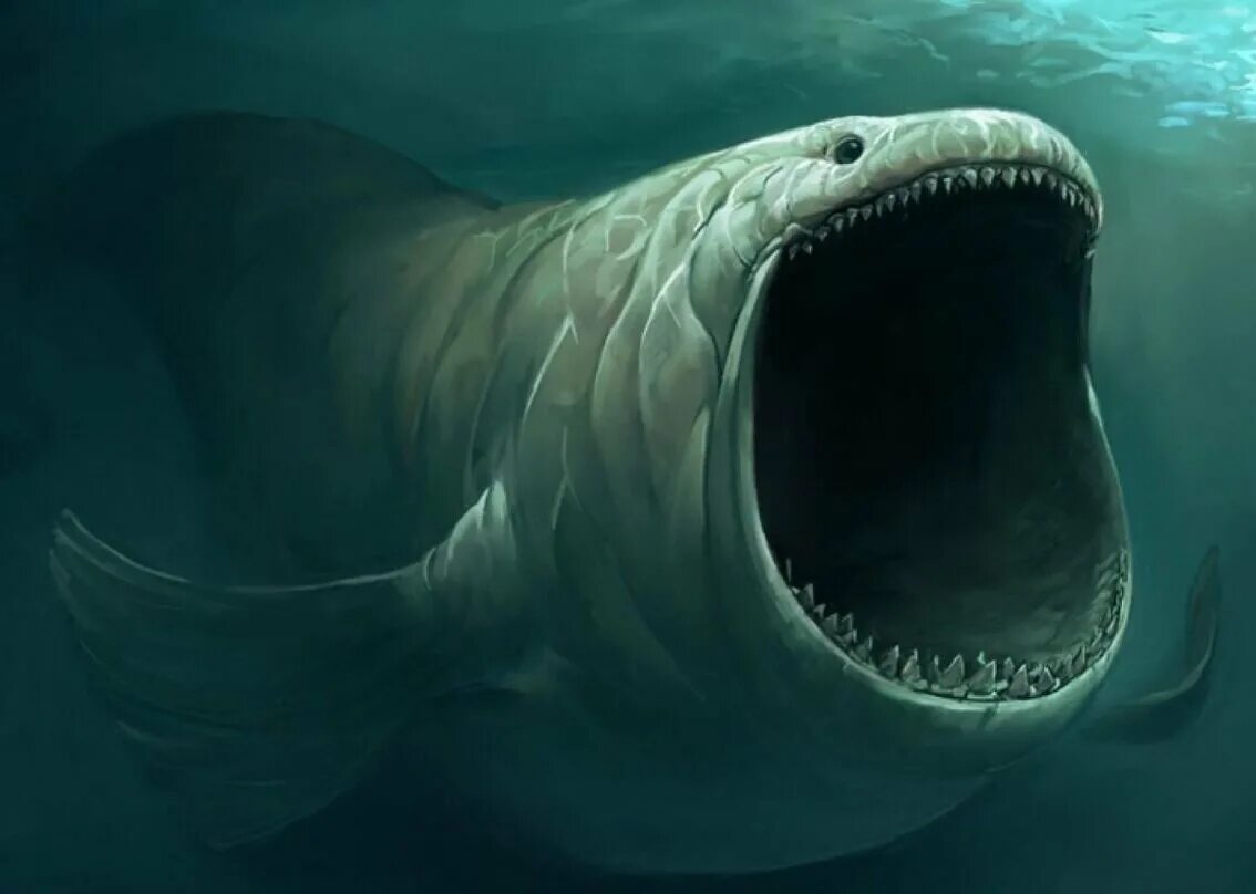Большие существа в океане. Левиафан блуп. Блуп таинственный монстр глубин. МЕГАЛОДОН акула монстр. МЕГАЛОДОН В Марианской впадине.
