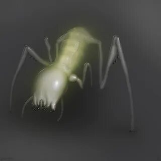 File:Antlion worker concept.jpg. 
