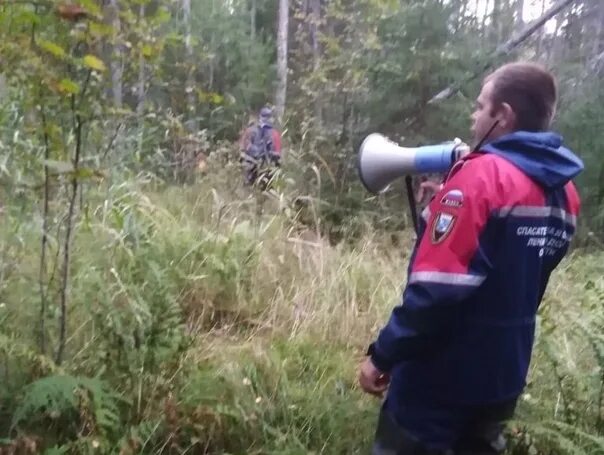 Луга утонул. Заблудился в лесу. Мальчик в лесу. Спасатели Ленобласти. Спасатели ищут людей в лесу.