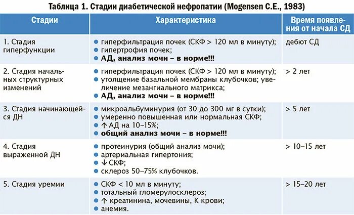 СКФ при диабетической нефропатии. Стадии диабетической нефропатии. Стадии развития диабетической нефропатии. Этапы диабетического нефропатии. Хбп с4