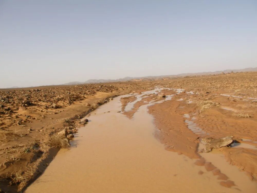 пустыни россии зимой. дождь в пустыне. сухой дождь в пустыне. осадки сахары. ливень в пустыне сахара.