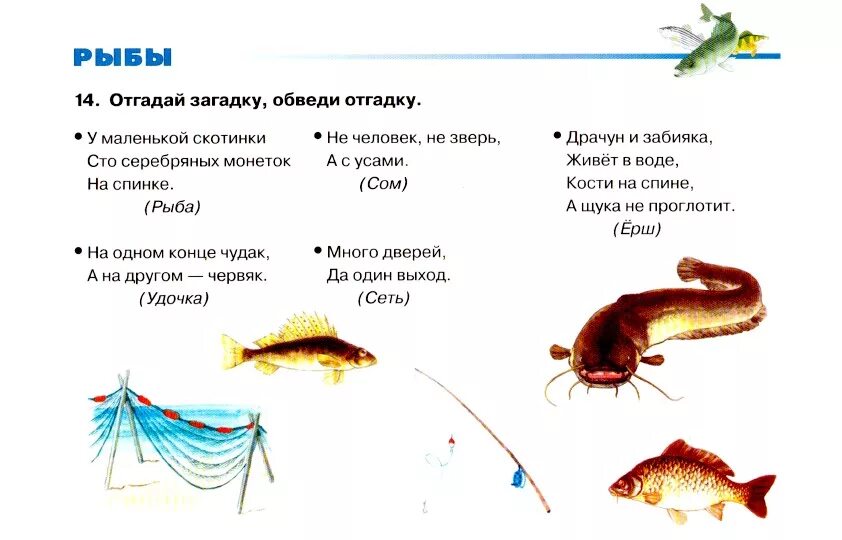 Тест по теме рыбы ответы. Задания на тему рыбы. Лексическая тема рыбы. Задания по лексической теме рыбы. Рыбы задания для детей.