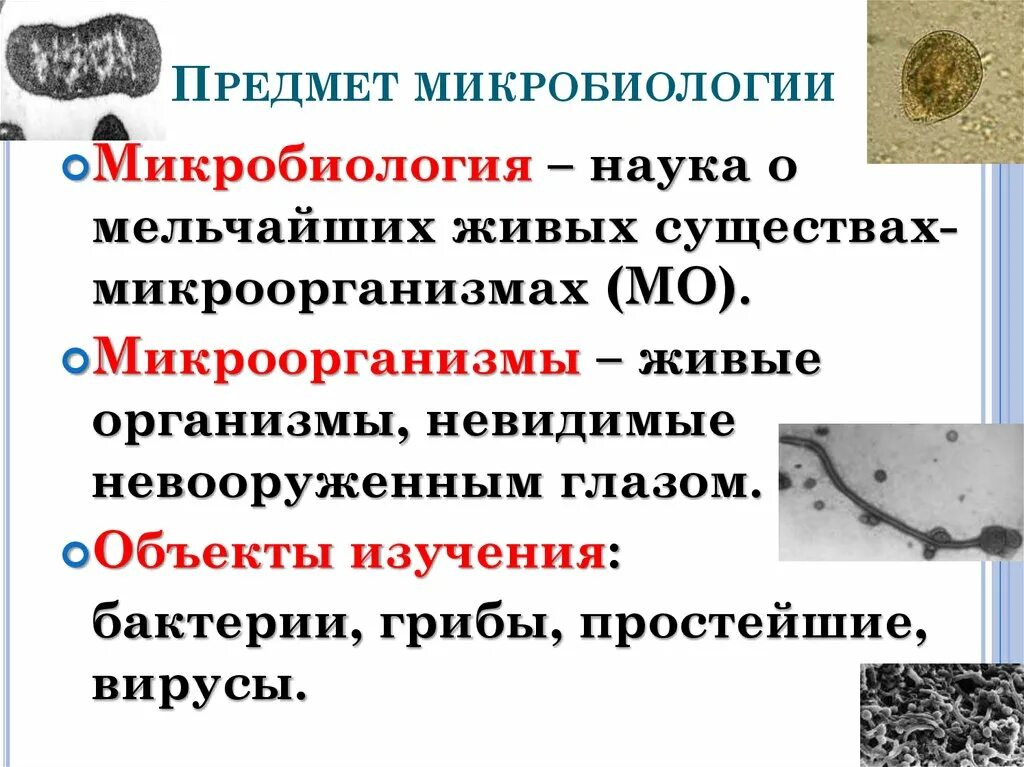 Наука изучающая вирусы. Классификация микробов микробиология. Бактерии по микробиологии. Презентация по микробиологии. Микробиология презентация.