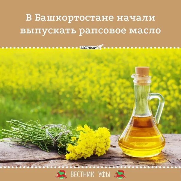 Рапсовое масло польза или вред. Масло рапсовое. Растительное масло рапсовое. Рапс и рапсовое масло. Из чего состоит рапсовое масло.