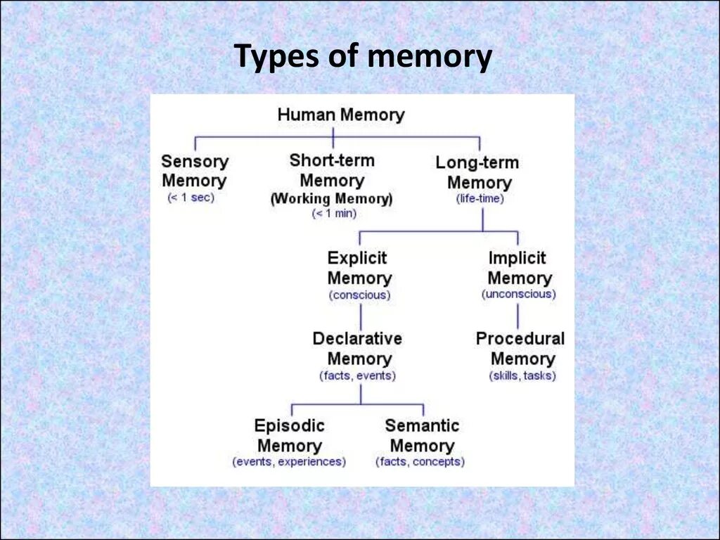 Types of Memory. Types of Memory Computer. Types of Human Memory. Different Types of Memory. Human types