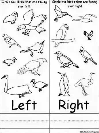 Birds Worksheets. Birds Worksheets for Kids. Birds reading Worksheet. Birds Worksheets Adults.