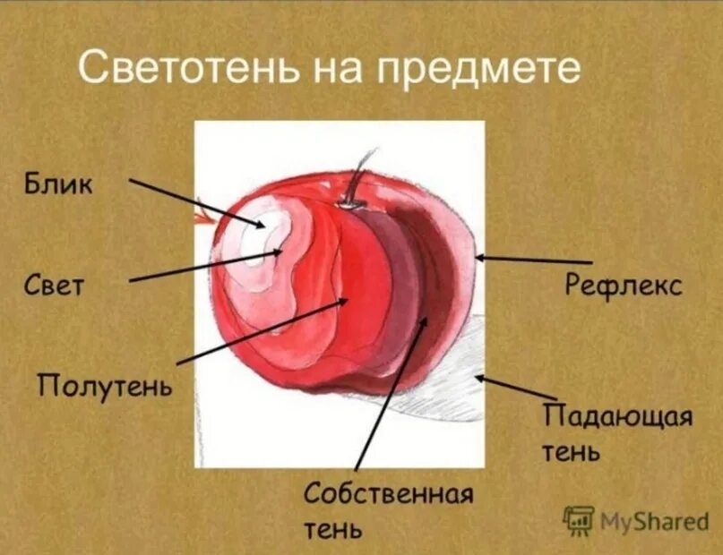 Свет и тень читать. Живопись, яблоко, свет тень полутень рефлекс. Тень полутень рефлекс в живописи. Светотень в живописи. Блики и рефлексы в живописи.