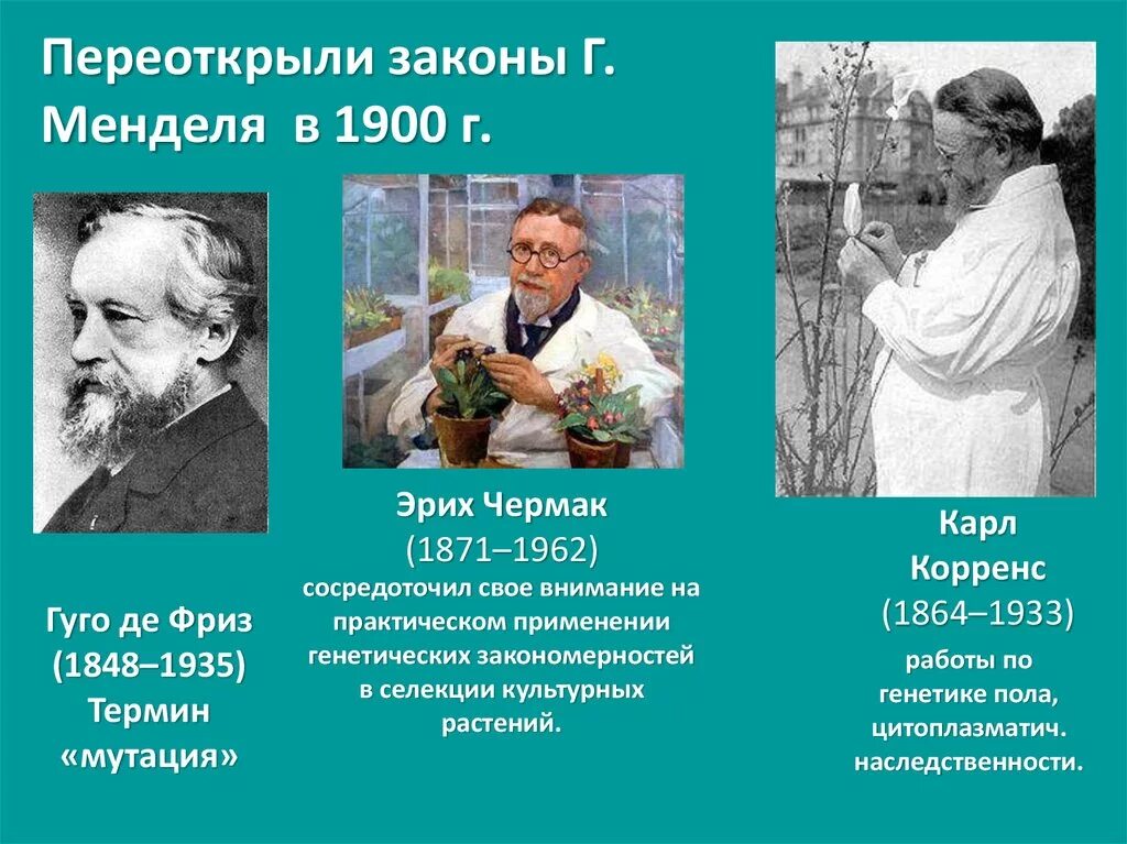 Фамилии генетика. Де фриз Чермак и Корренс. Эрих Корренс. Переоткрытте закона Менделя.