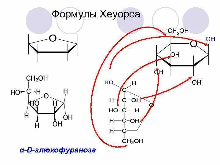 Кафедра биоорганической химии. Проекция Хеуорса Глюкозы. Формула Хеуорса глюкофураноза. Бета Глюкоза формула Хеуорса. Циклические формулы Хеуорса. Д Глюкоза.