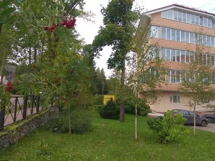Авито рощино