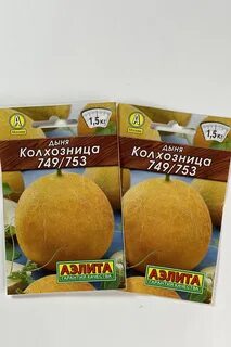 Дыня колхозница описание