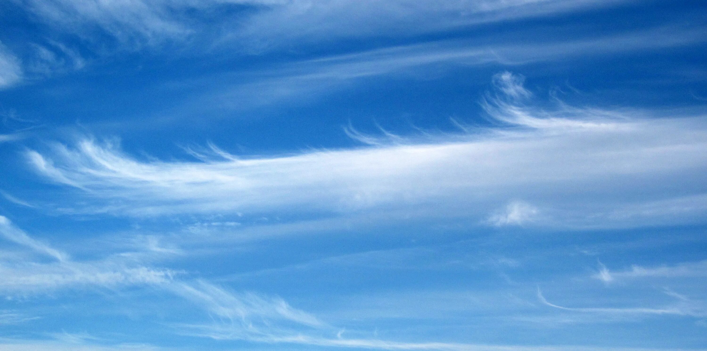 Afternoon 10. Перистые облака сбоку фон. Cirrus uncinus cloud. Tail cloud.