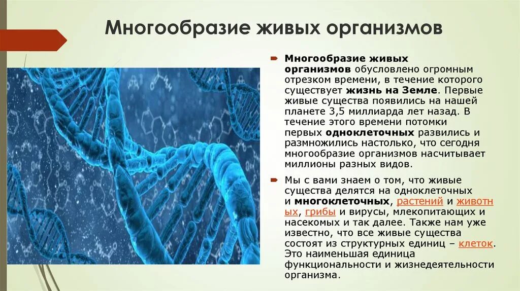 Многообразие организмов на нашей планете. Многообразие живых организмов. Разнообразие организмов. Многообразие живых организ. Разнообразие организмов на земле.