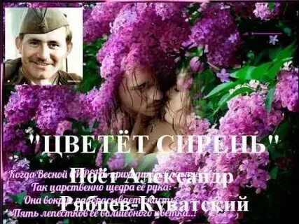 Песню ивана кучина цветет сирень