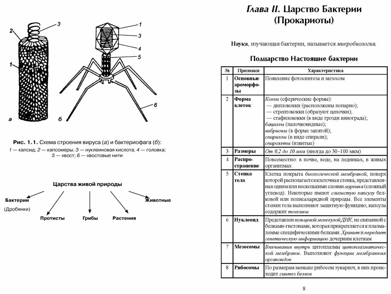 учебник биология для медицинских колледжей. рассмотрите изображение шести представителей. биология в таблицах и схемах пособие егэ. биология в таблицах заяц. рассмотрите изображение шести организмов.