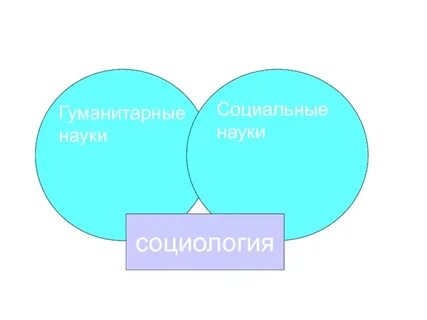 Социология гуманитарная