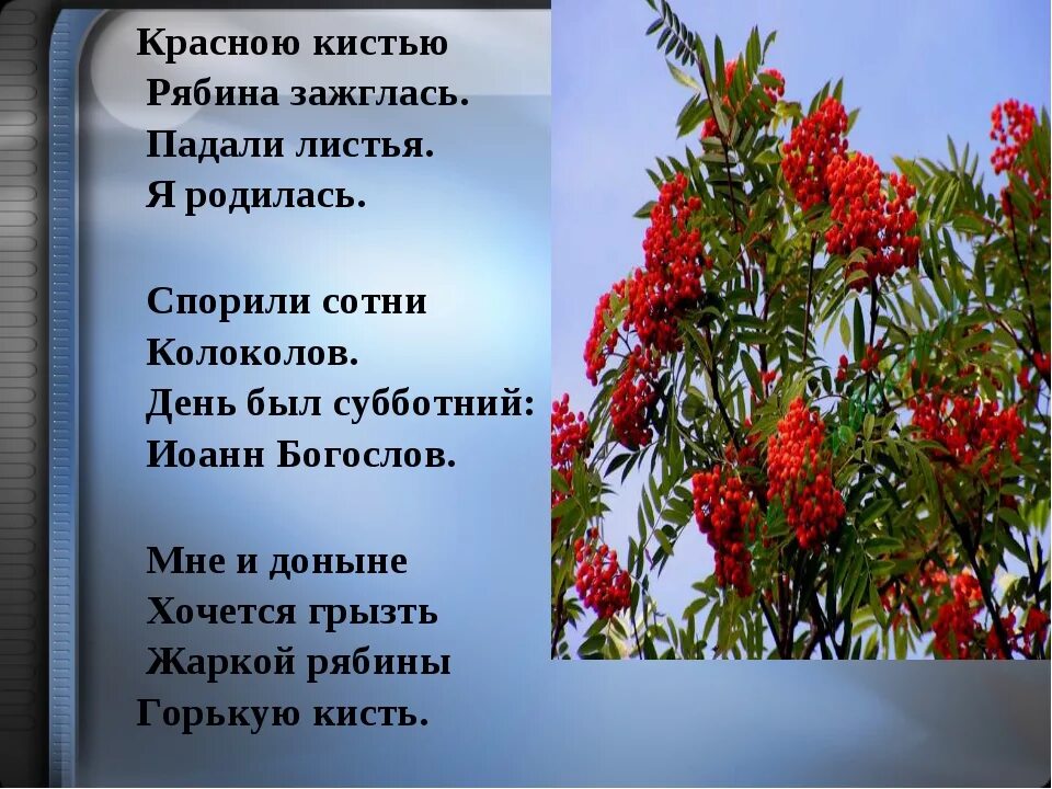 Стихи Цветаевой красною кистью. Цветаева рябина. Стих Цветаевой красною кистью рябина зажглась. Рябина красная слова