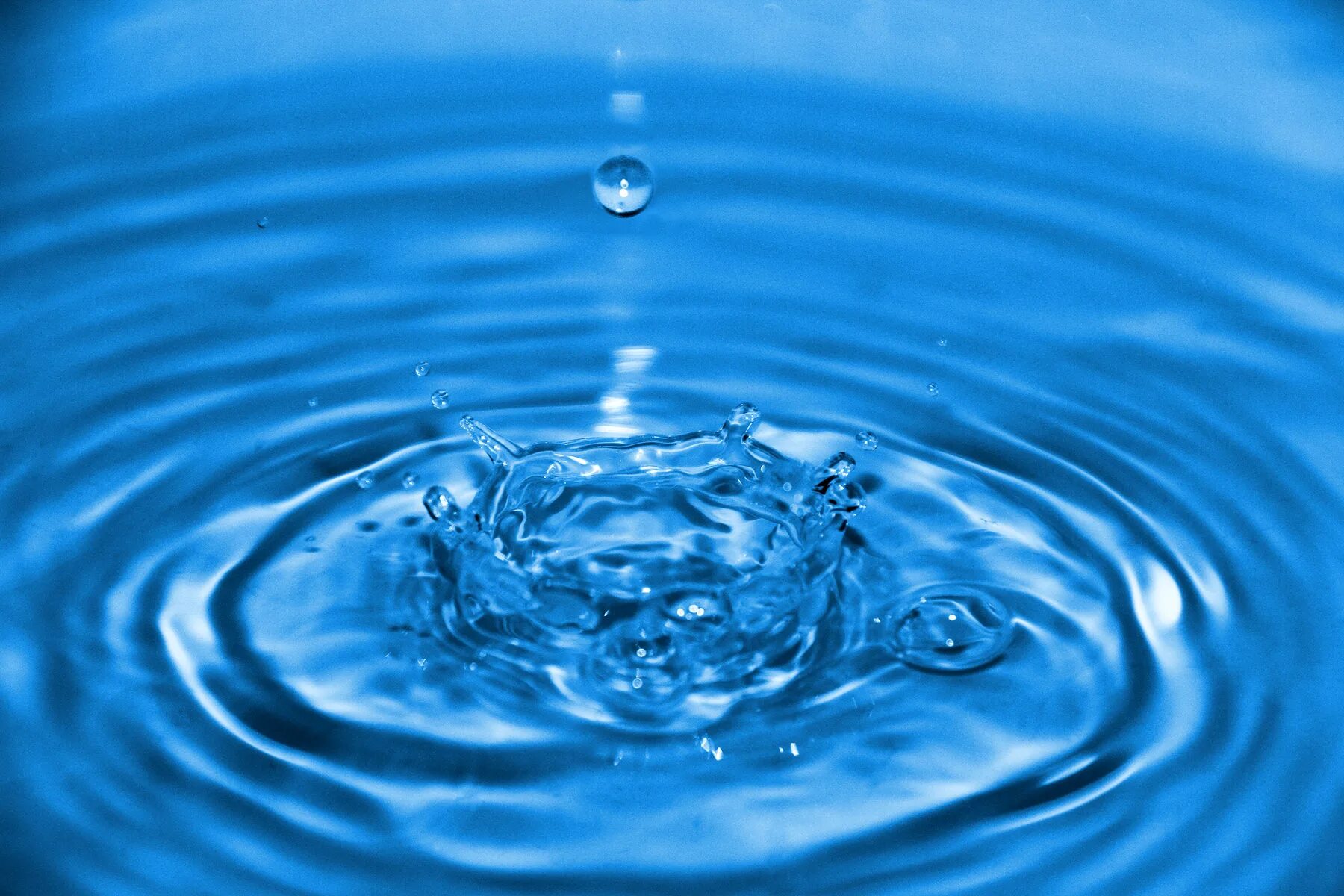 Включи много вода. Вода это жизнь. Большие воды. Выглядит много воды. Fluoride in Water.