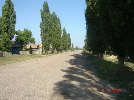 Лебяжье волгоградская область погода
