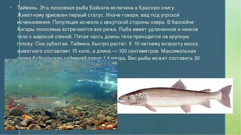 В какой воде водятся