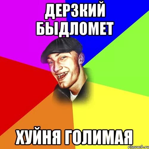 Хитрый енот. Гулаг на камчатке. Откисай. Что означает слово галимый. Голимая или галимая.