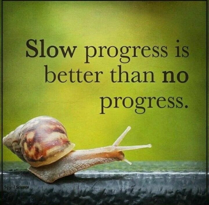 She is we better now. Slow progress better than no progress. Snail is Slower than. Progress is progress no matter. Slower is better.