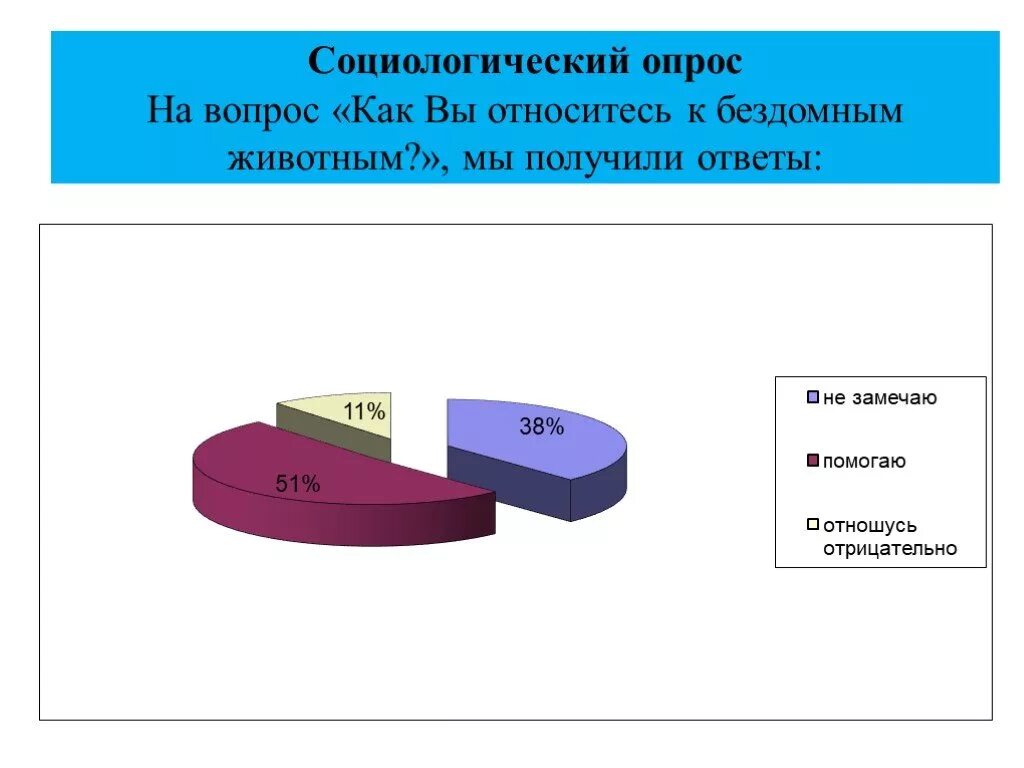 Социологический опрос темы и вопросы. Опрос про бездомных животных. Анкетирование про бездомных животных. Опрос на тему бездомные животные. Социологический опрос про бездомных животных.