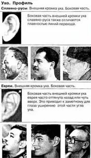 Как определить еврея