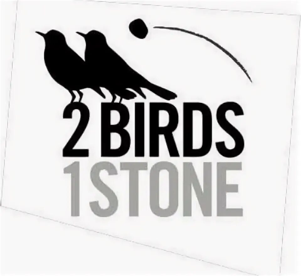 Kill two Birds with one Stone. Kill two Birds with one Stone idiom. Kill two Birds with one Stone иллюстрация. One Stone.