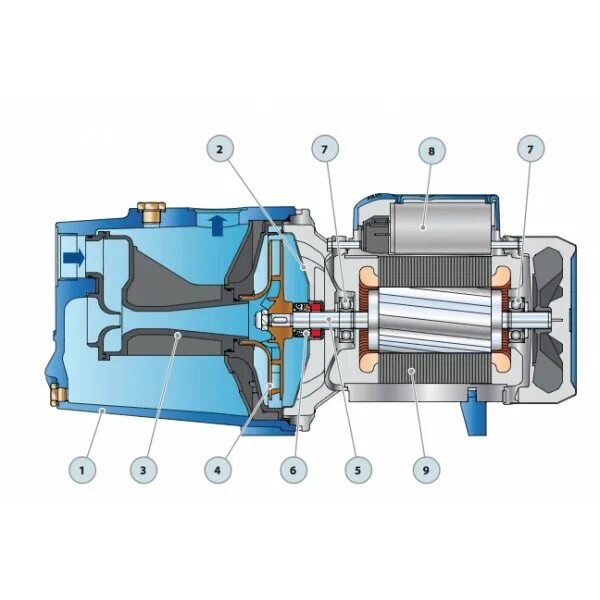 Принцип водяного насоса. Насос вихревой Pedrollo разрез. Pedrollo JSWM 1cx. Насос Pedrollo pk100. Торцевое уплотнение Pedrollo JSWM.