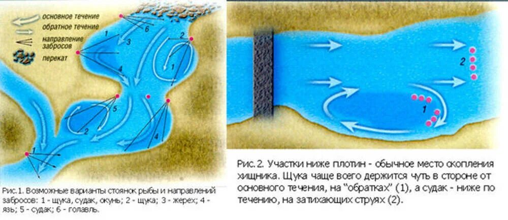 Места лова рыбы. Стоянки леща на реке летом. Места стоянки рыбы на реке. Места скопления рыбы на реке. Выбор места для рыбалки на реке.