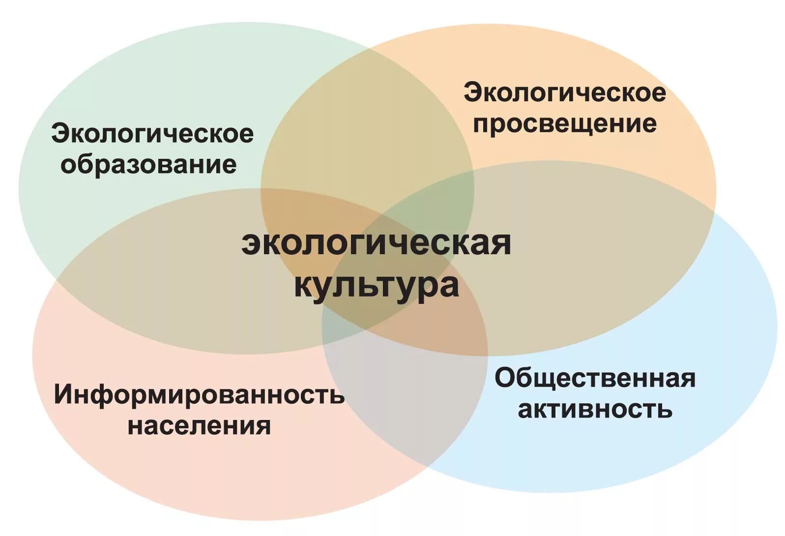 Почему экологическое образование. Экологическое образование. Экологическая культура. Экологическое образование и Просвещение населения. Экологическая культура населения.